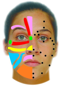 Facial Reflexology